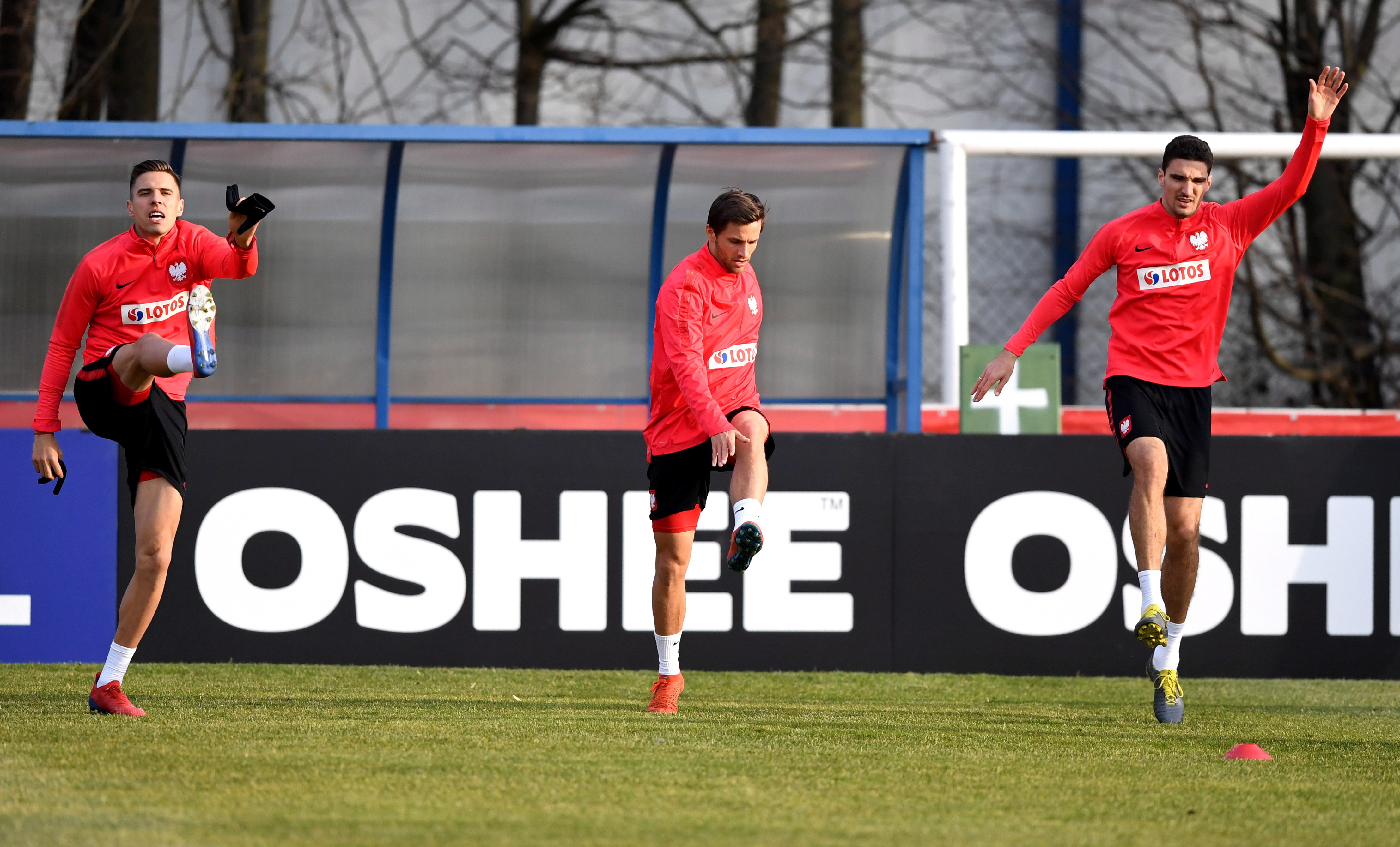 奥地利队横扫波兰队，奥恰洛夫惊艳四座的简单介绍