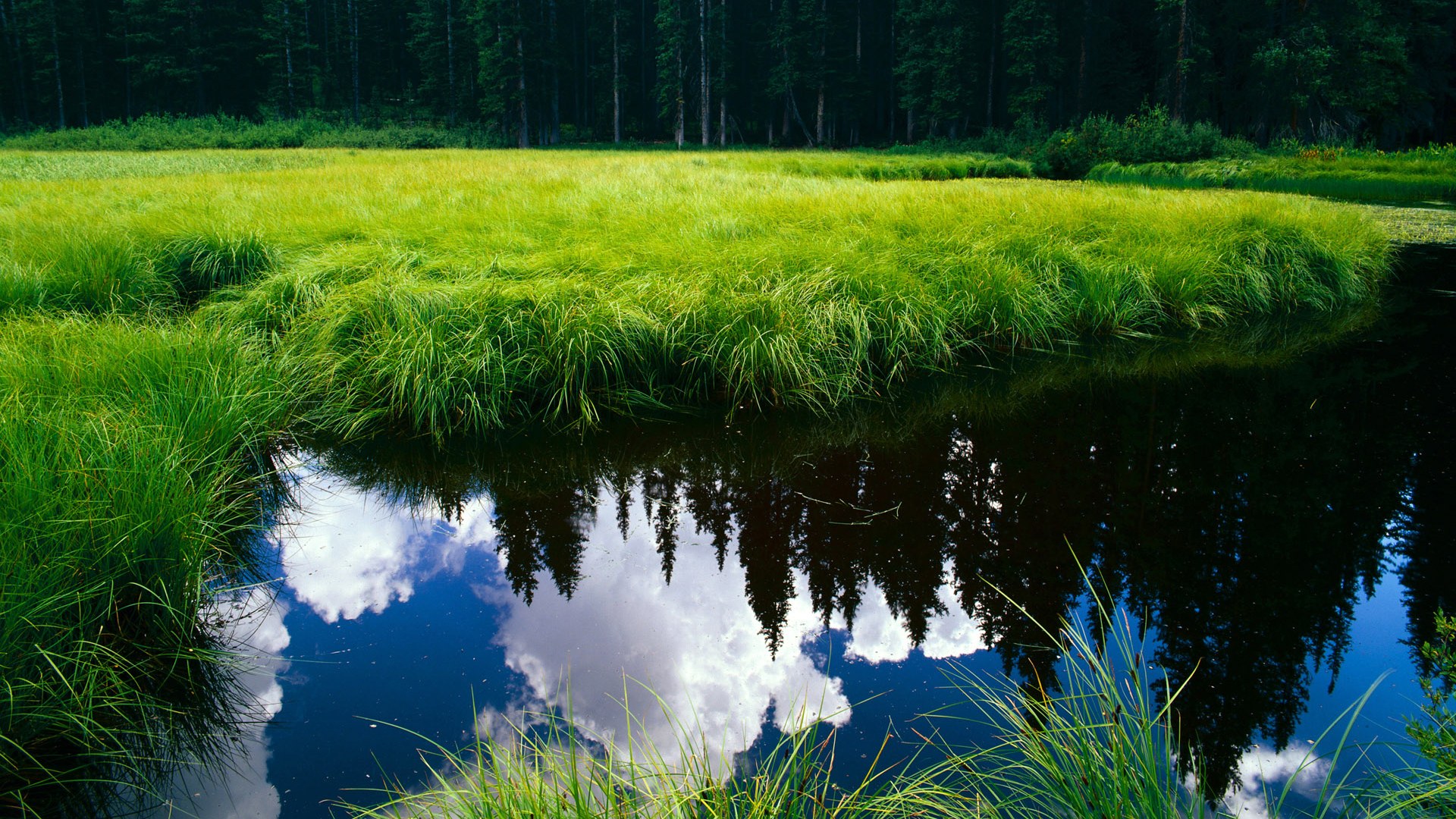跨界窒息时刻，当多特蒙德的战术终局，遇见阿坎吉的冷面接管