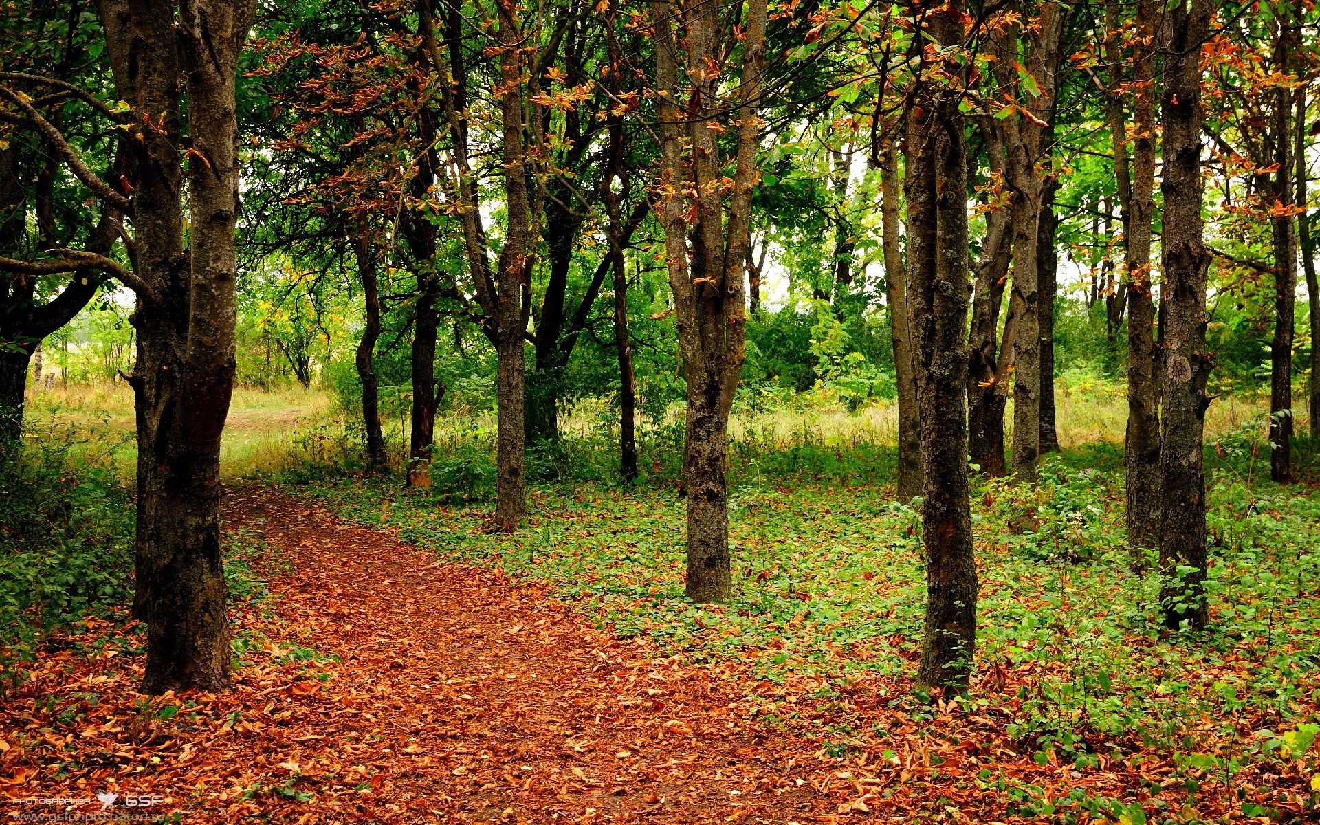 冷血计时器，乔治第四节18分撕裂热火防线
