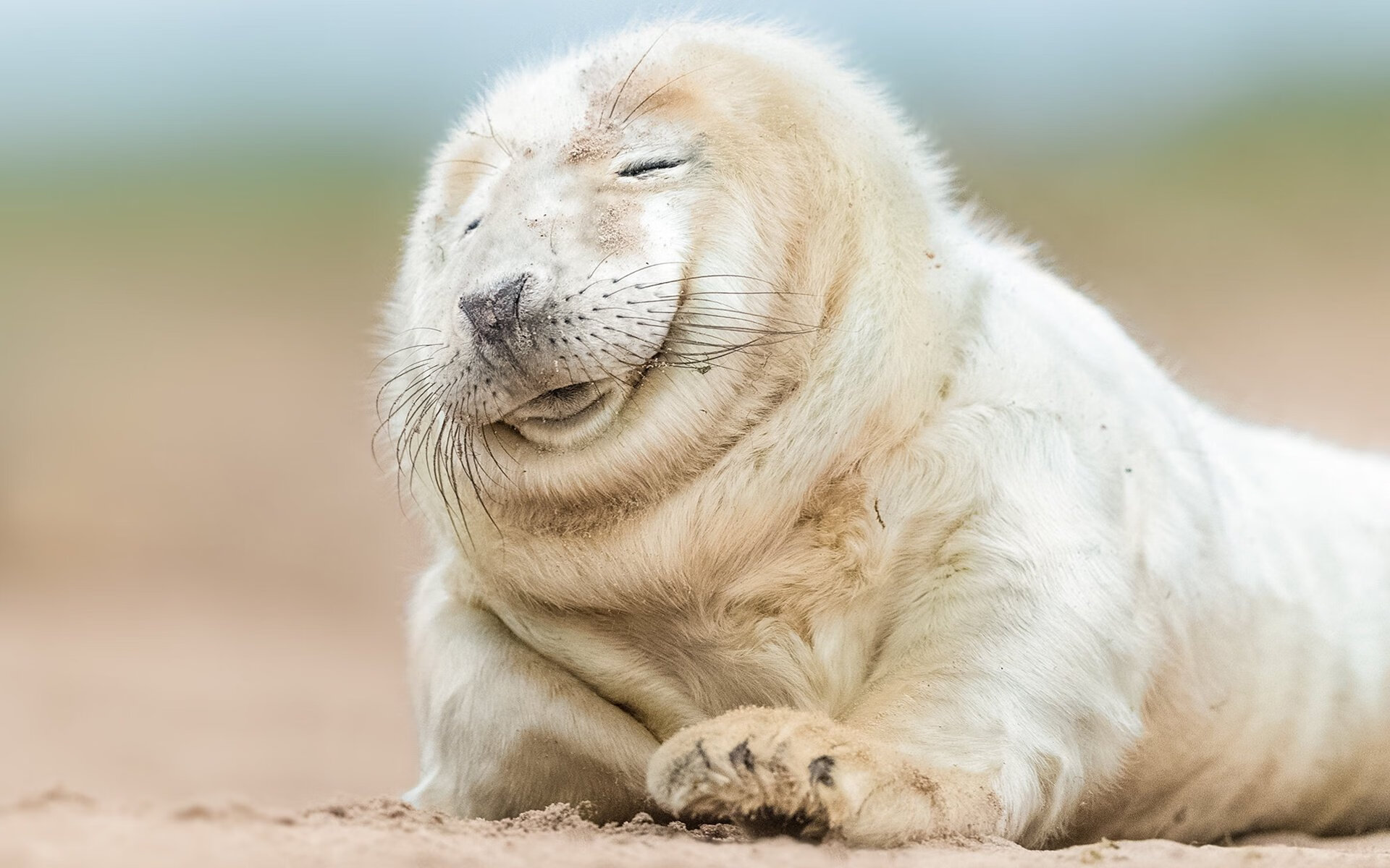 撕裂平行宇宙的锋芒 杜兰特53分跨联盟神迹