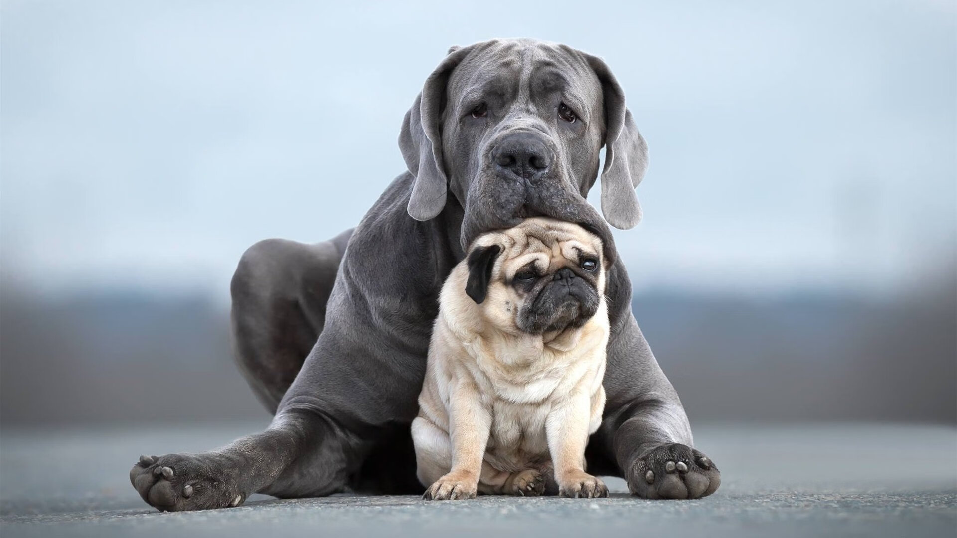 狂潮席卷，王牌当立—公牛得分风暴碾压山西，拉文再现硬仗统治力