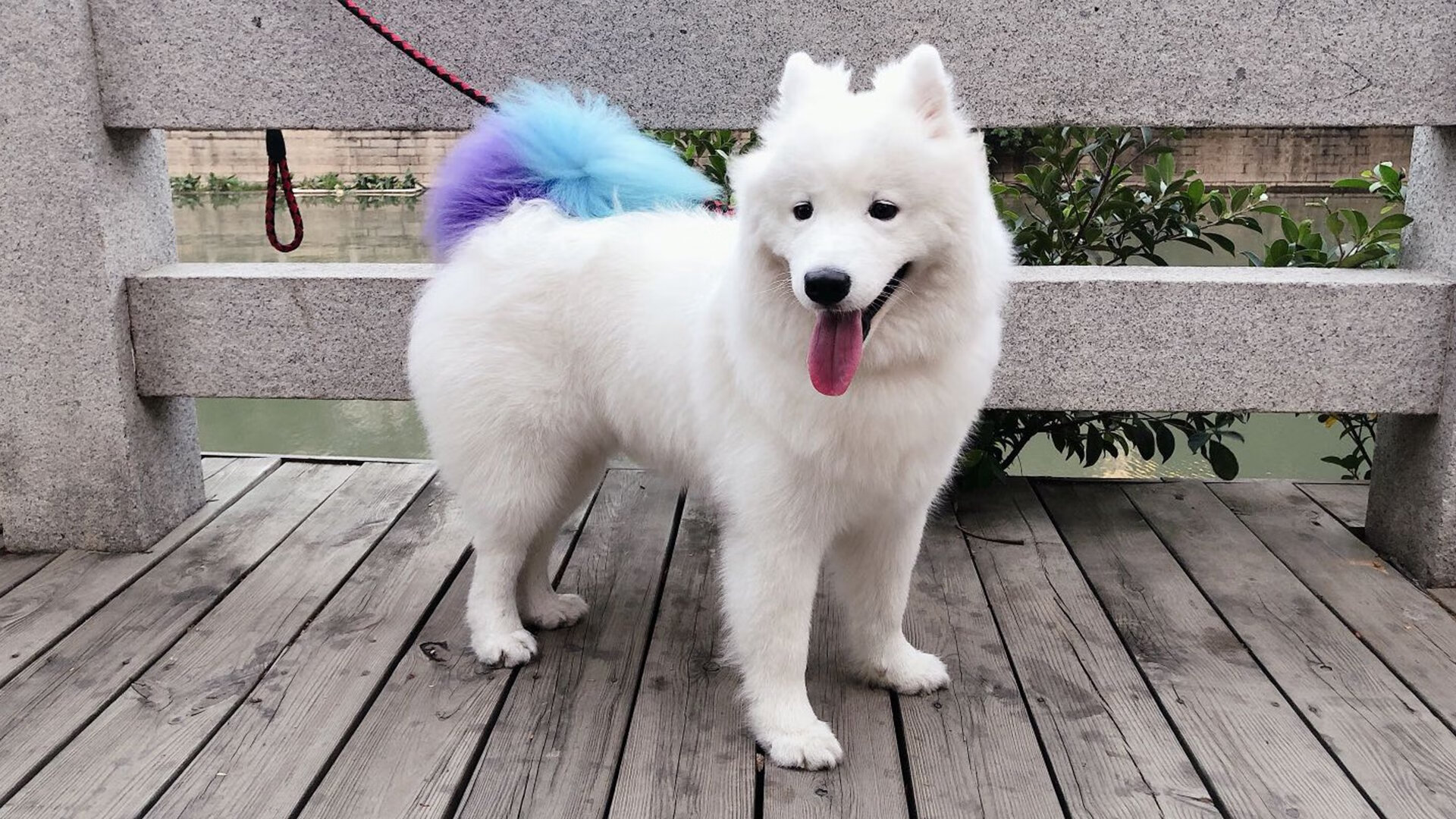 圣乔治与龙之武士，孙兴慜在温布利的无声革命