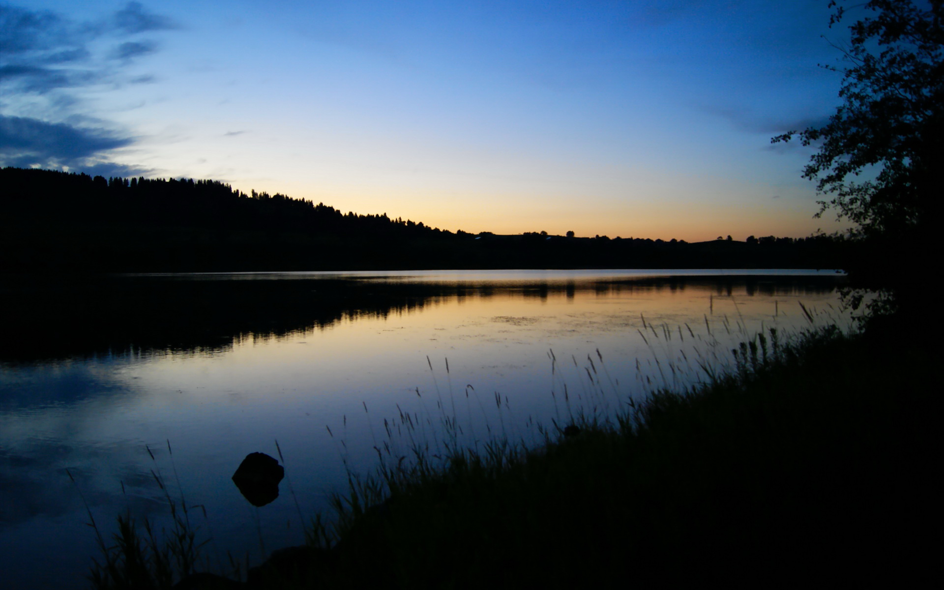 1.绝境重生！苏格兰鏖战力克爱尔兰，巴尔韦德一锤定音