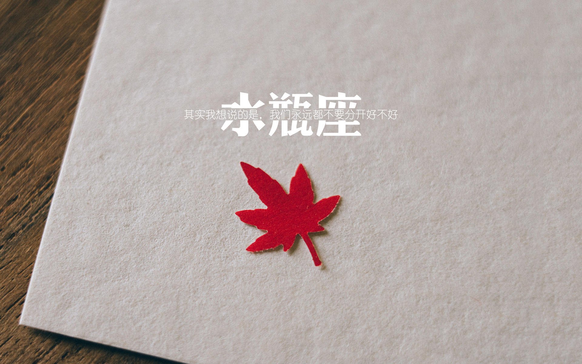 焦点战赖斯锁定核心位，闪电战波兰奏凯显锋芒