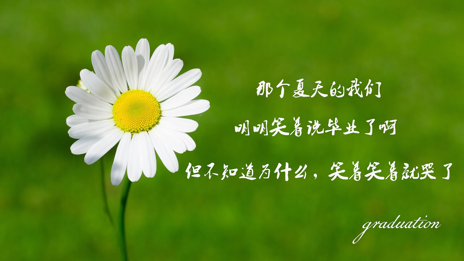 平凡夜晚诞生不平凡英雄,戈贝尔冠军级表现定格年度焦点之战
