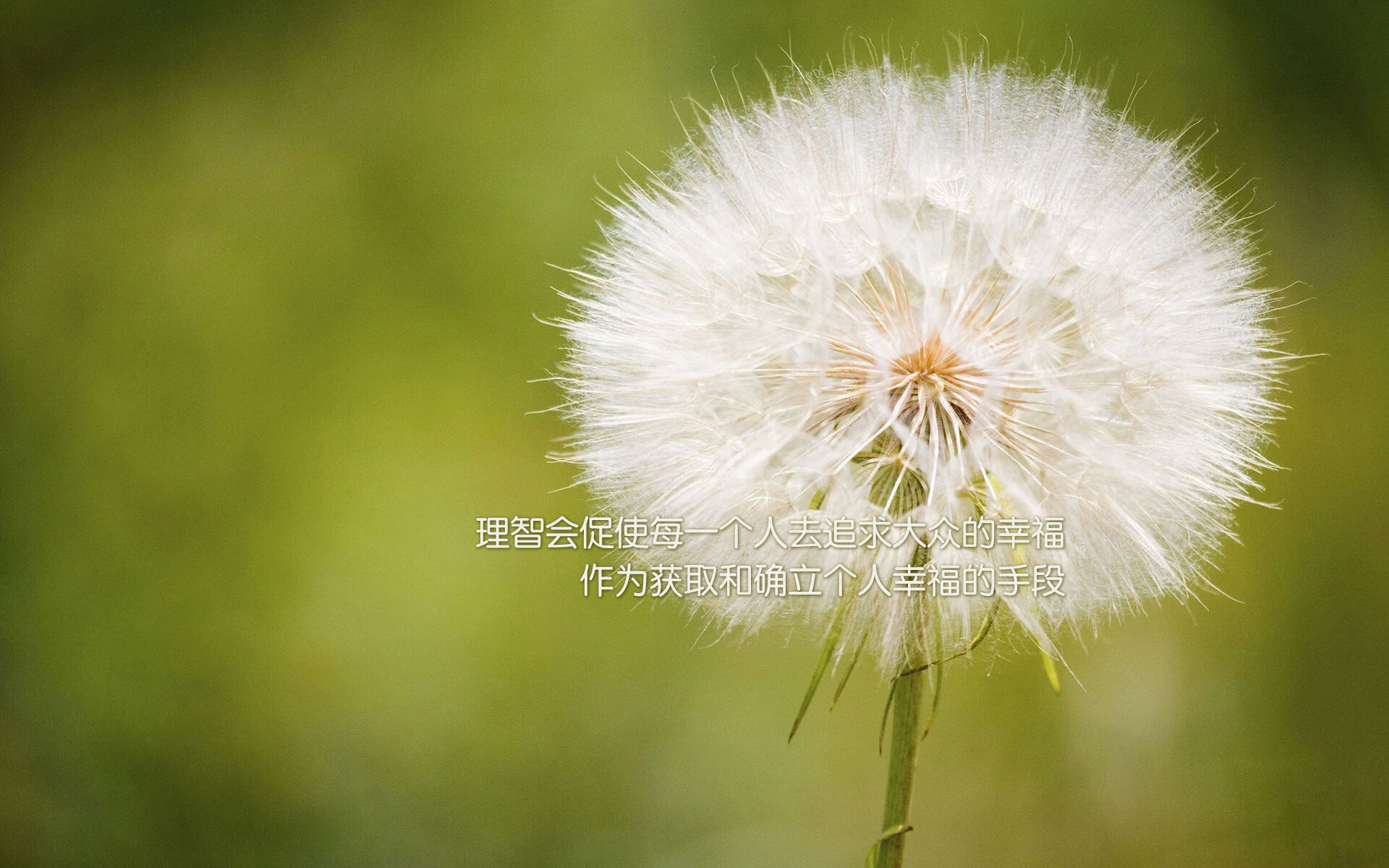 冰与火之刃,2026世界杯巅峰对决,托纳利独造三球,挪威用钢铁洪流碾碎捷克
