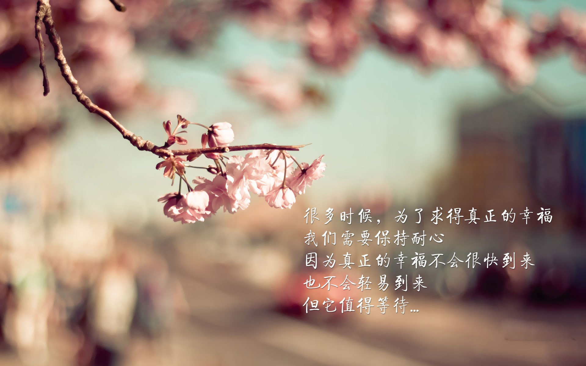 沙丘之刃，当波斯铁骑绝杀南美旋风的唯一剧本