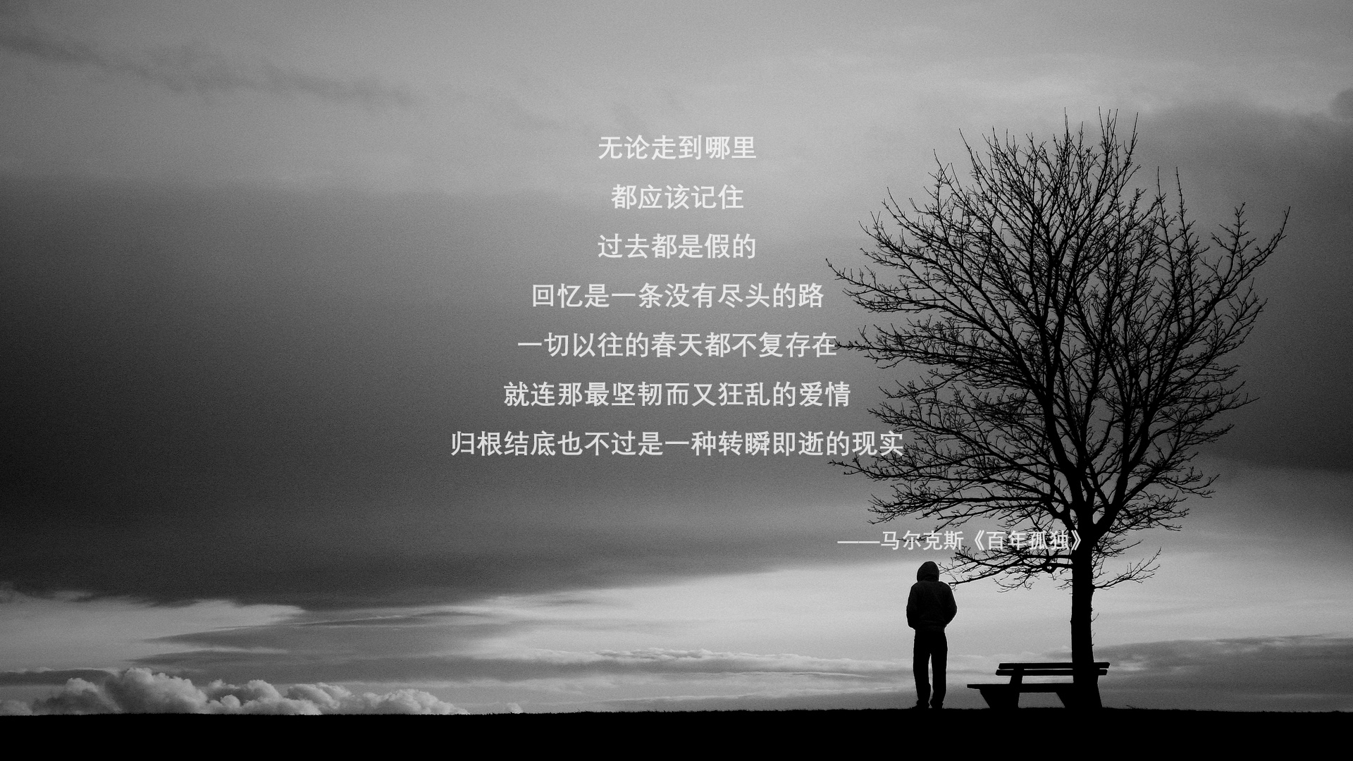 沙漠奇迹的注脚,2026年那个夜晚,迪亚斯用唯一定义了卡塔尔的黄金时代