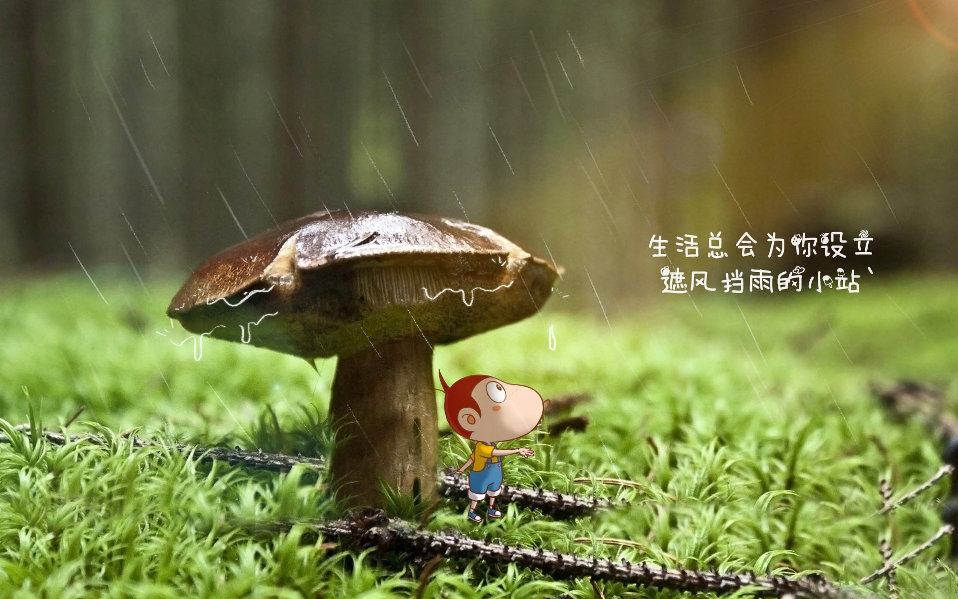 靴刃修罗场，2026世界杯E组生死劫，塔雷米寒光一闪，伊朗绝杀波兰