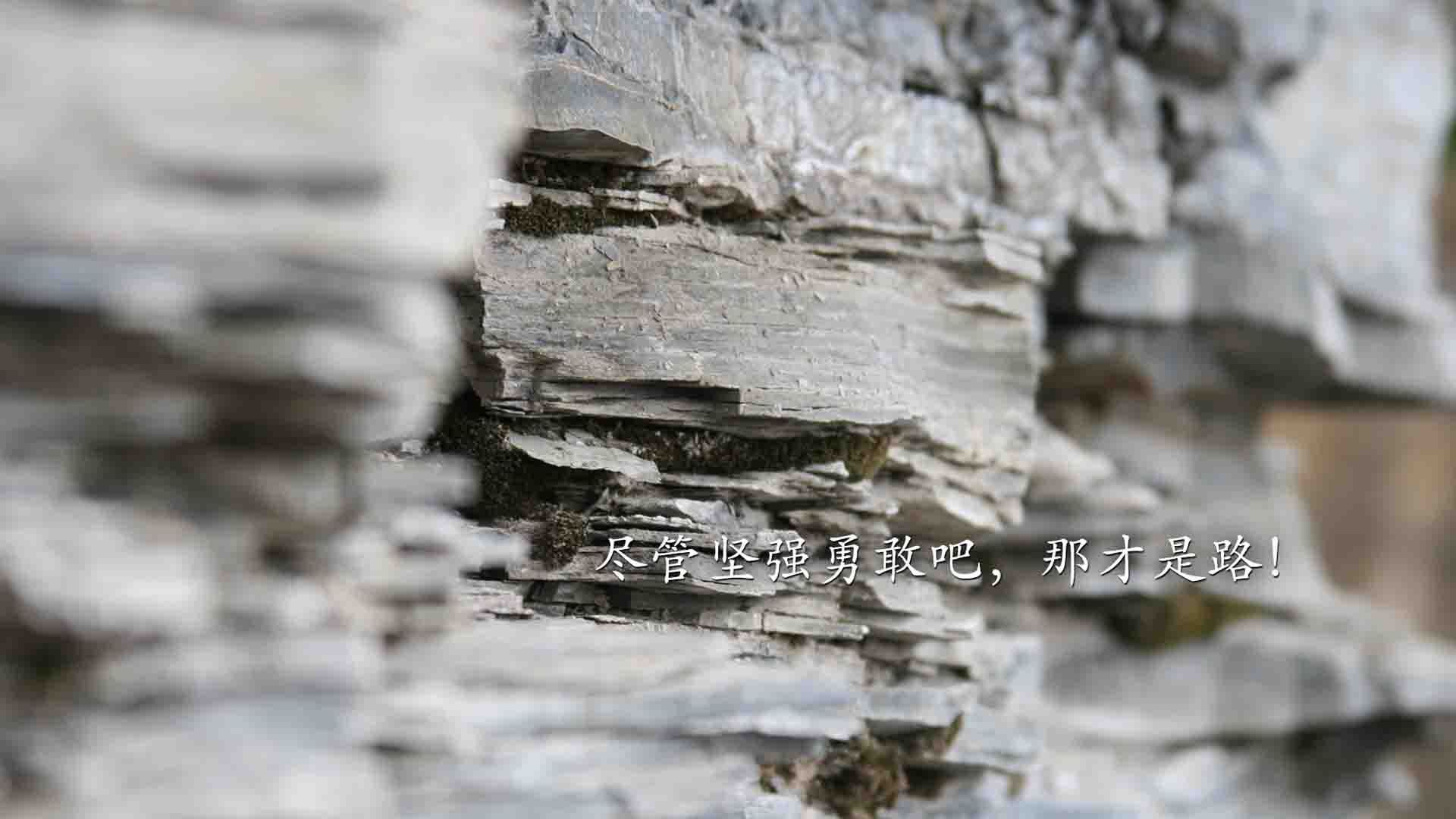 下面为您呈上以此为核心的创意文章