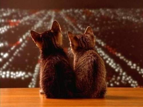 北境破晓,当枫叶旗在南美铁骑前猎猎作响—2026世界杯黑马之战全纪实